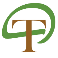 TamilDhool logo